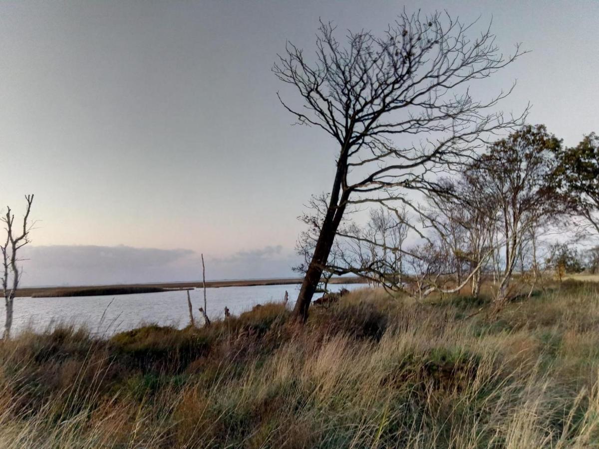 Haus Kuestenbrise - Urlaub Mit Hund An Der Kueste Mit Eigenen Garten, Sauna Und Gemuetlichen Kaminfeuer Schweiburg Esterno foto
